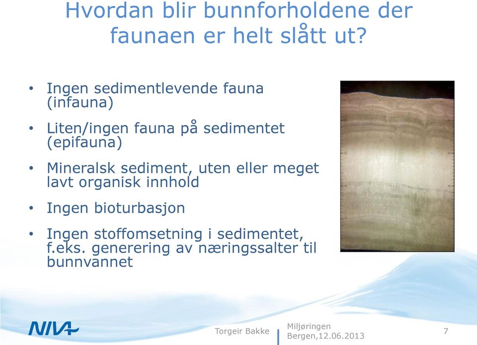 (epifauna) Mineralsk sediment, uten eller meget lavt organisk innhold Ingen