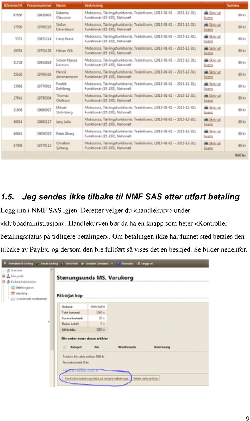 Handlekurven bør da ha en knapp som heter «Kontroller betalingsstatus på tidligere betalinger».