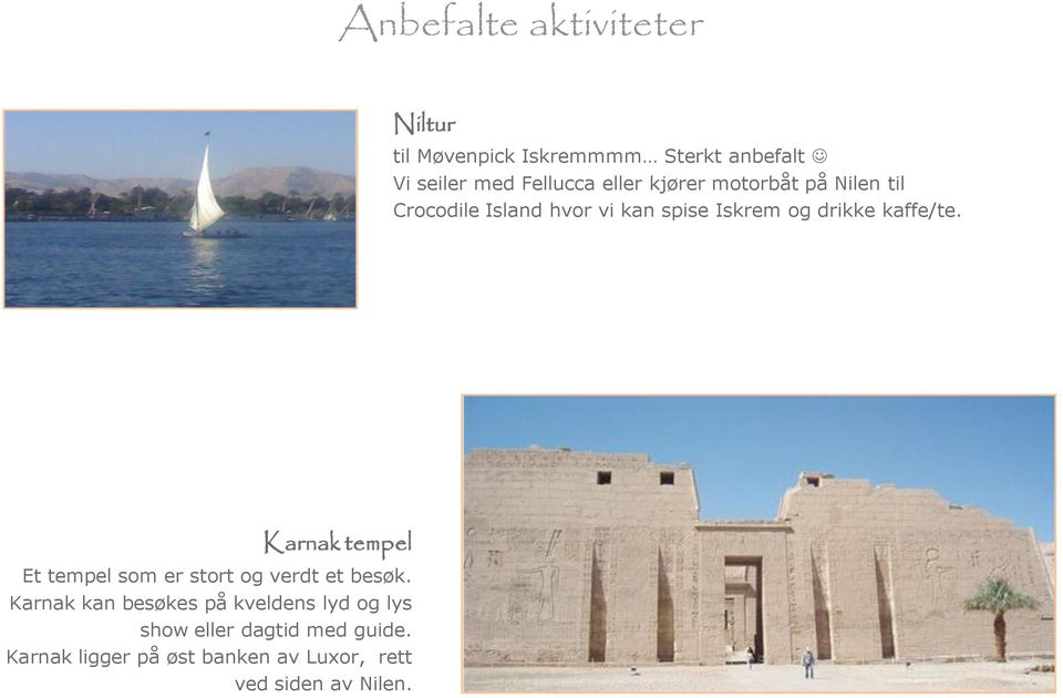 kaffe/te. Karnak tempel Et tempel som er stort og verdt et besøk.