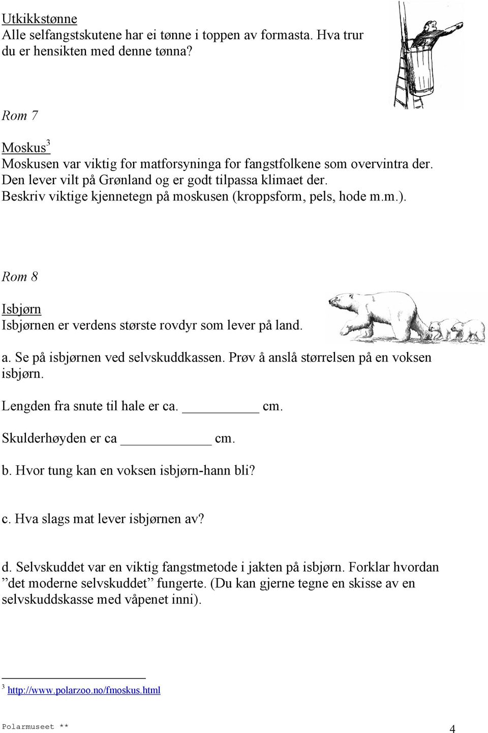 Beskriv viktige kjennetegn på moskusen (kroppsform, pels, hode m.m.). Rom 8 Isbjørn Isbjørnen er verdens største rovdyr som lever på land. a. Se på isbjørnen ved selvskuddkassen.