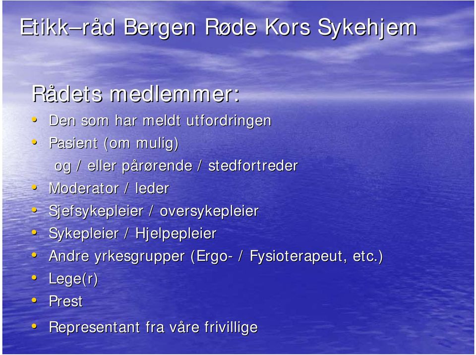 Moderator / leder Sjefsykepleier / oversykepleier Sykepleier / Hjelpepleier Andre