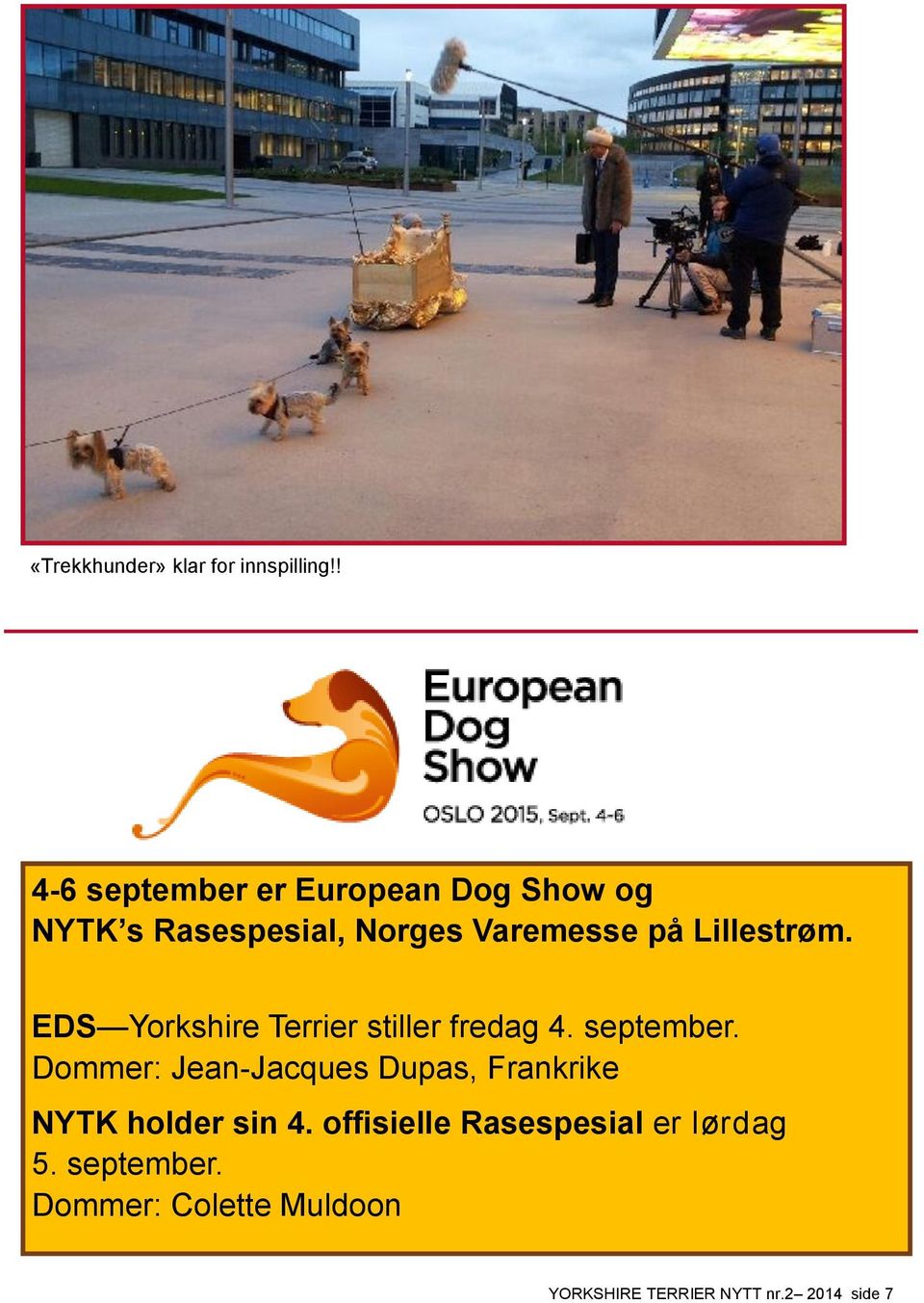 Lillestrøm. EDS Yorkshire Terrier stiller fredag 4. september.