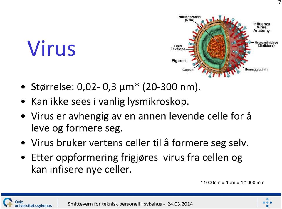 Virus er avhengig av en annen levende celle for å leve og formere seg.