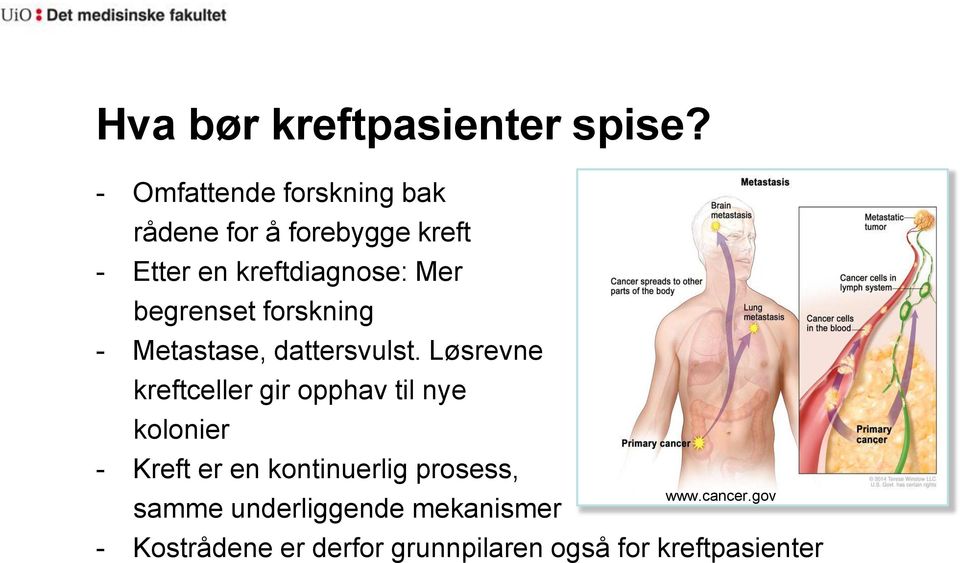 begrenset forskning - Metastase, dattersvulst.