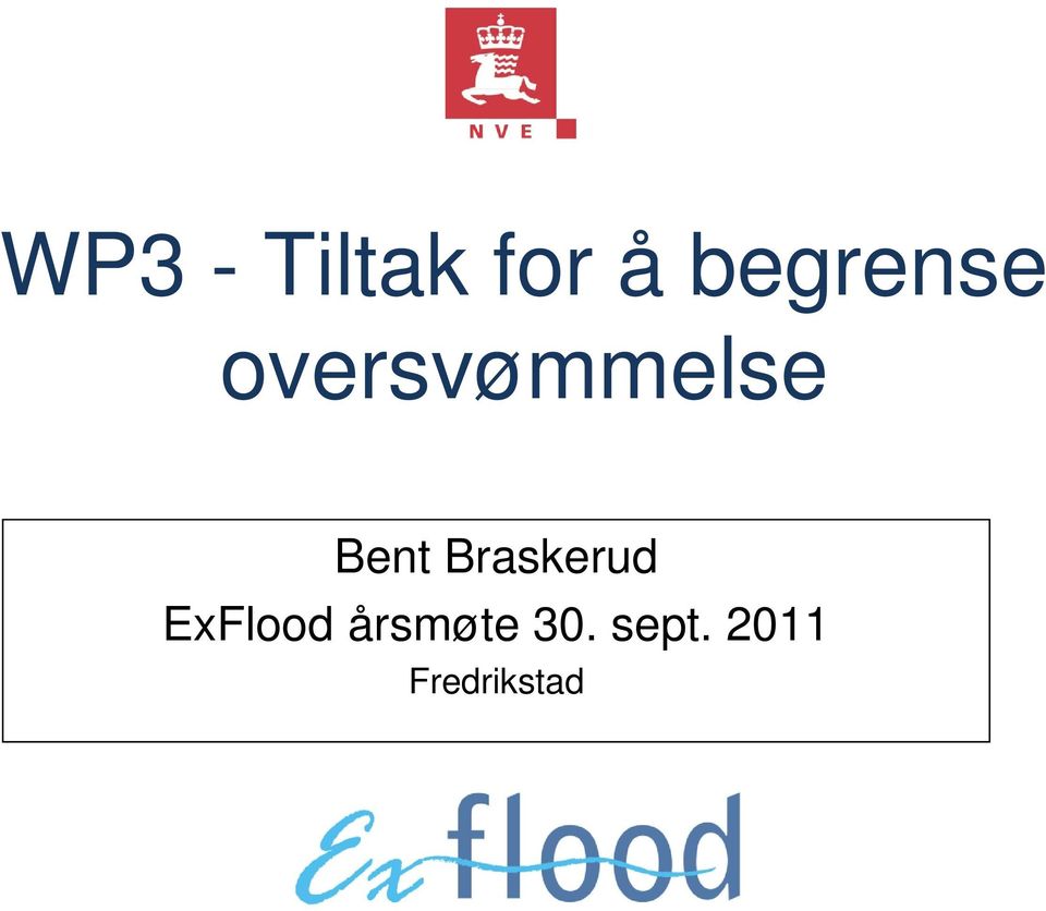 Bent Braskerud ExFlood