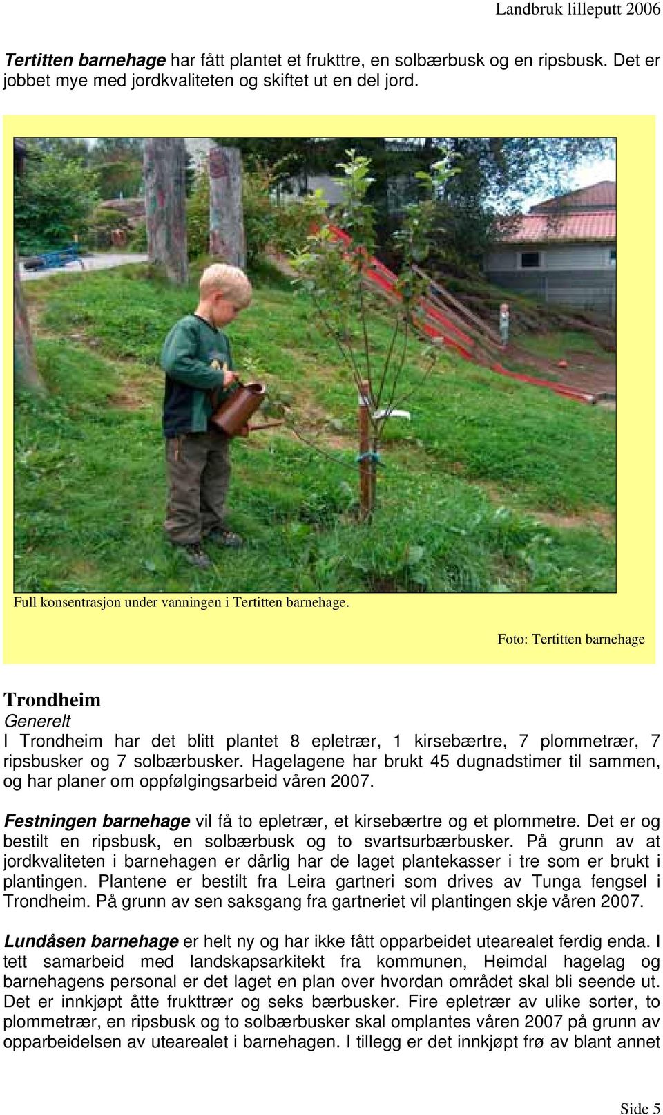 Foto: Tertitten barnehage Trondheim Generelt I Trondheim har det blitt plantet 8 epletrær, 1 kirsebærtre, 7 plommetrær, 7 ripsbusker og 7 solbærbusker.