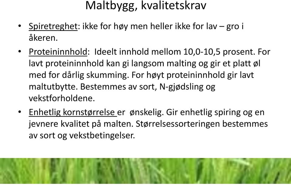 For lavt proteininnhold kan gi langsom malting og gir et platt øl med for dårlig skumming.