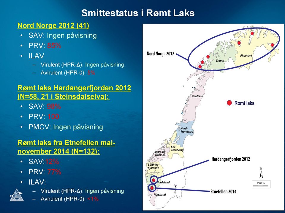 PRV: 100 PMCV: Ingen påvisning Rømt laks fra Etnefellen mainovember 2014 (N=132): SAV:12%