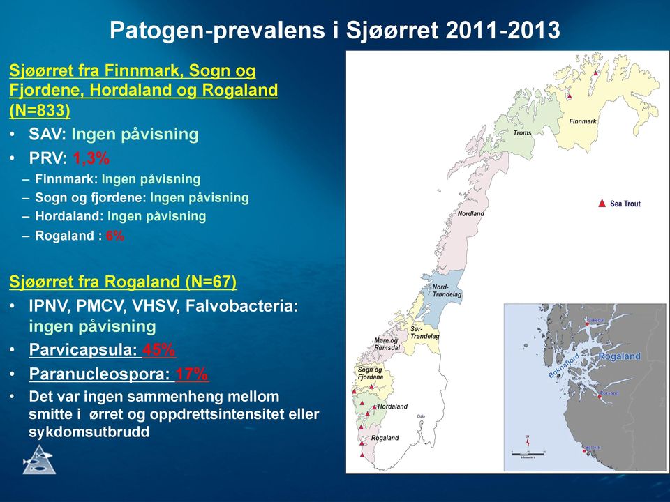 påvisning Rogaland : 6% Sjøørret fra Rogaland (N=67) IPNV, PMCV, VHSV, Falvobacteria: ingen påvisning