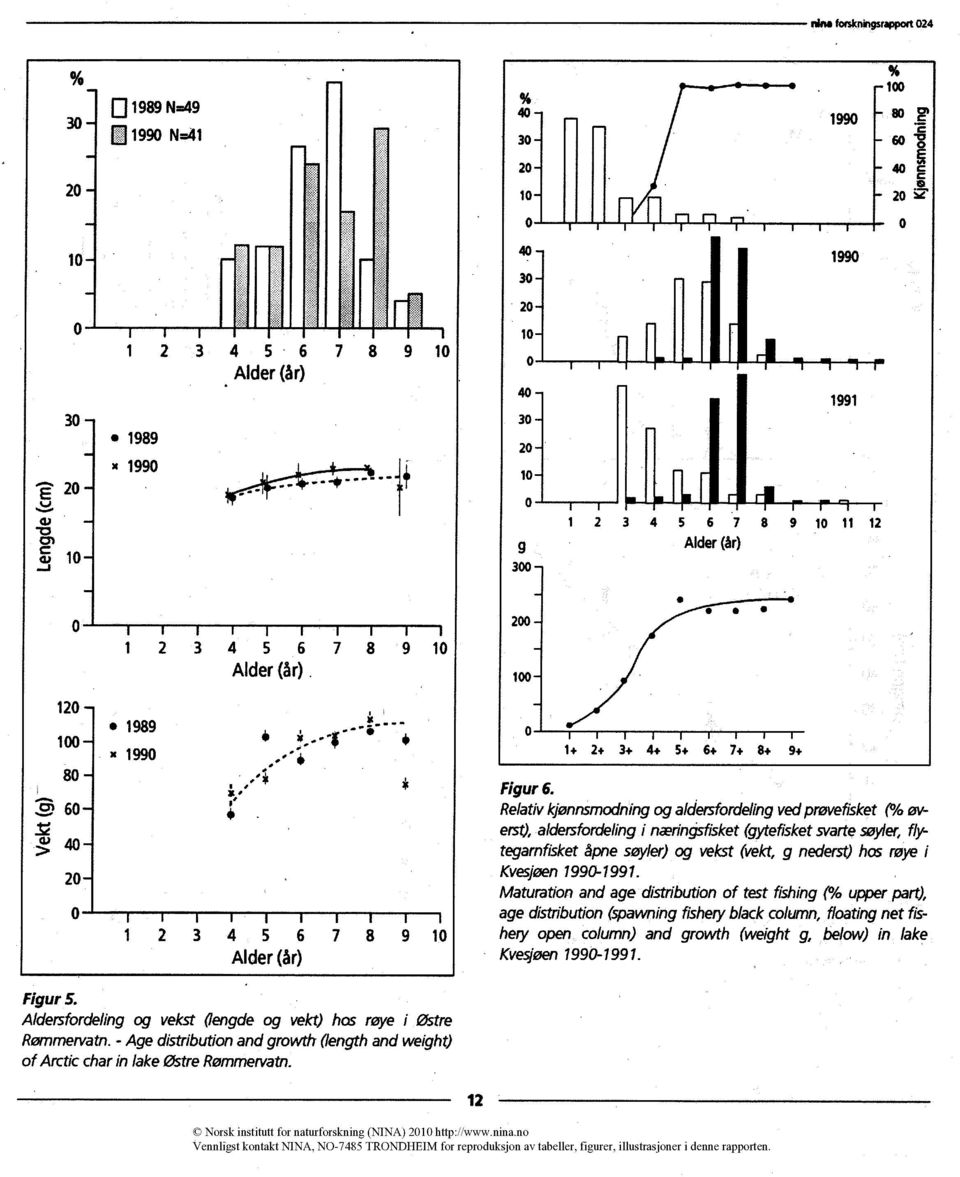 Relativ kjønnsmodning og aldersfordefing ved prøvefisket (% øverst), aldersfordeling i næringsfisket (gytefisket svarte søyler, tegarnfisket åpne søyler)og vekst (vekt, g nederst) hos røye Kvesjøen