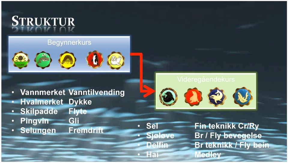 Fremdrift Videregåendekurs Sel Fin teknikk Cr/Ry