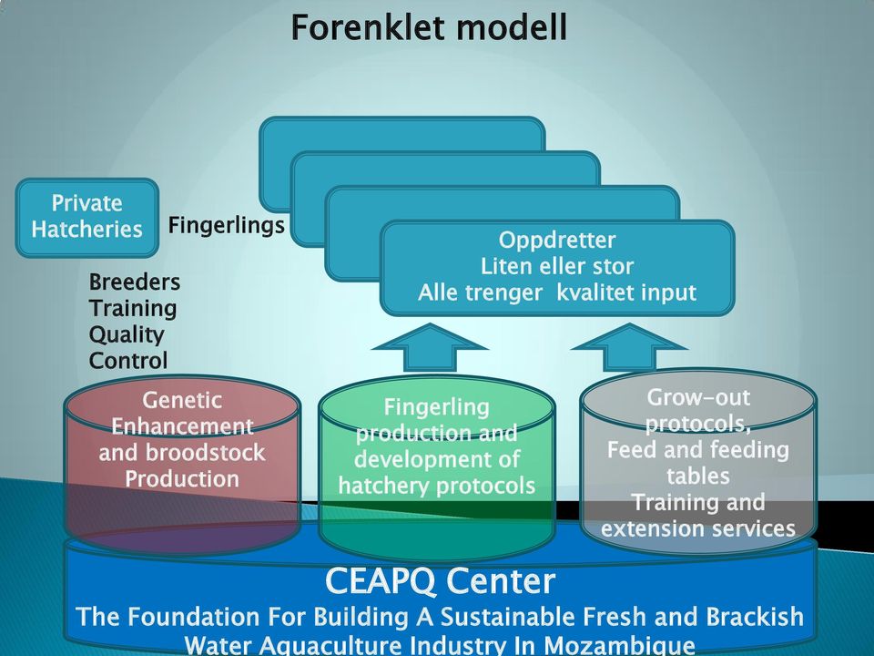 broodstock Production Oppdretter Oppdretter Oppdretter Oppdretter Liten eller stor Alle trenger kvalitet input