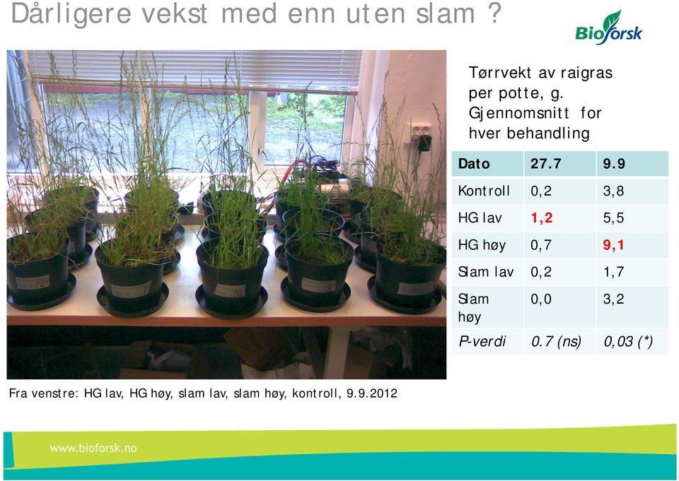 9 Kontroll 0,2 3,8 HG lav 1,2 5,5 HG høy 0,7 9,1 Slam lav 0,2 1,7 Slam