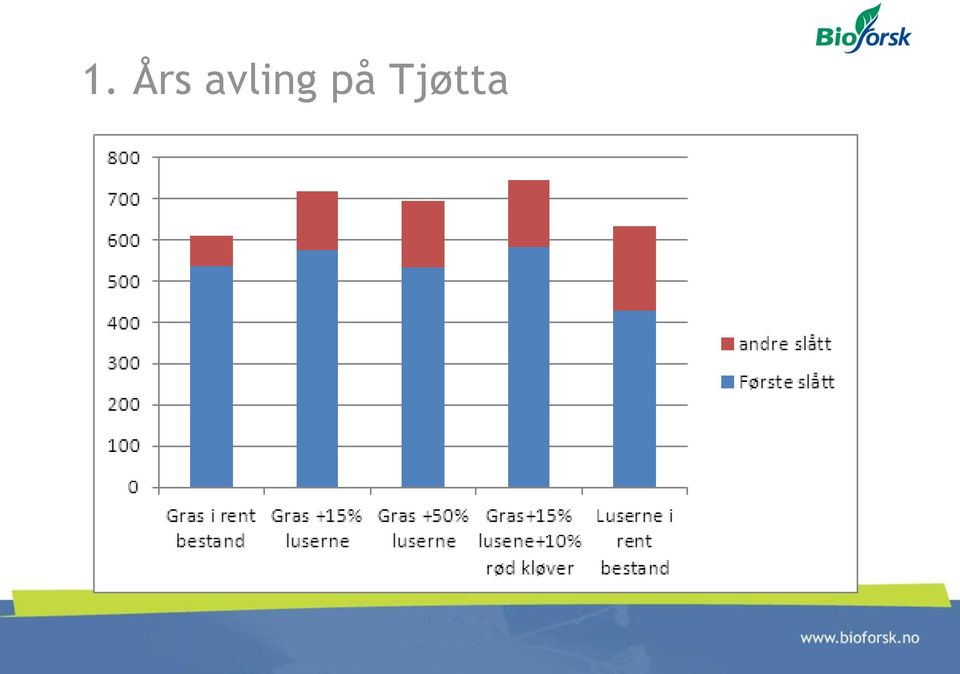 Tjøtta