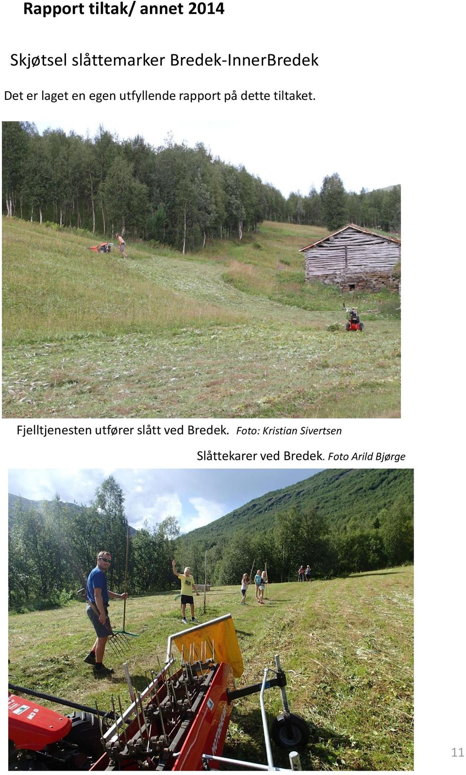 på dette tiltaket. Fjelltjenesten utfører slått ved Bredek.