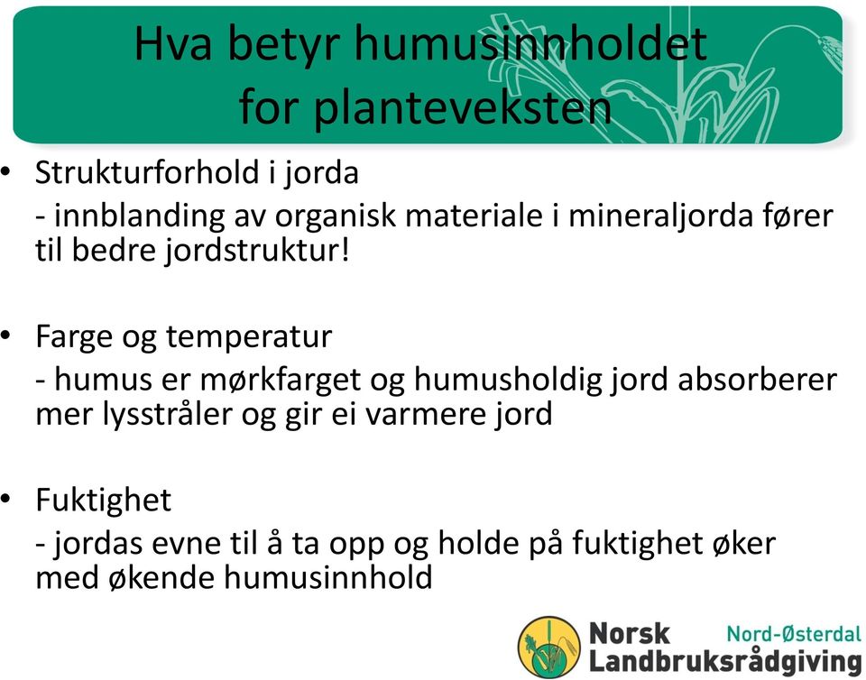 Farge og temperatur - humus er mørkfarget og humusholdig jord absorberer mer