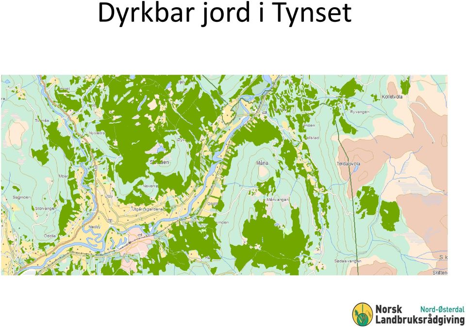 Tynset