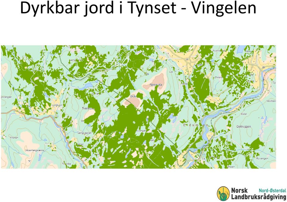 Tynset -