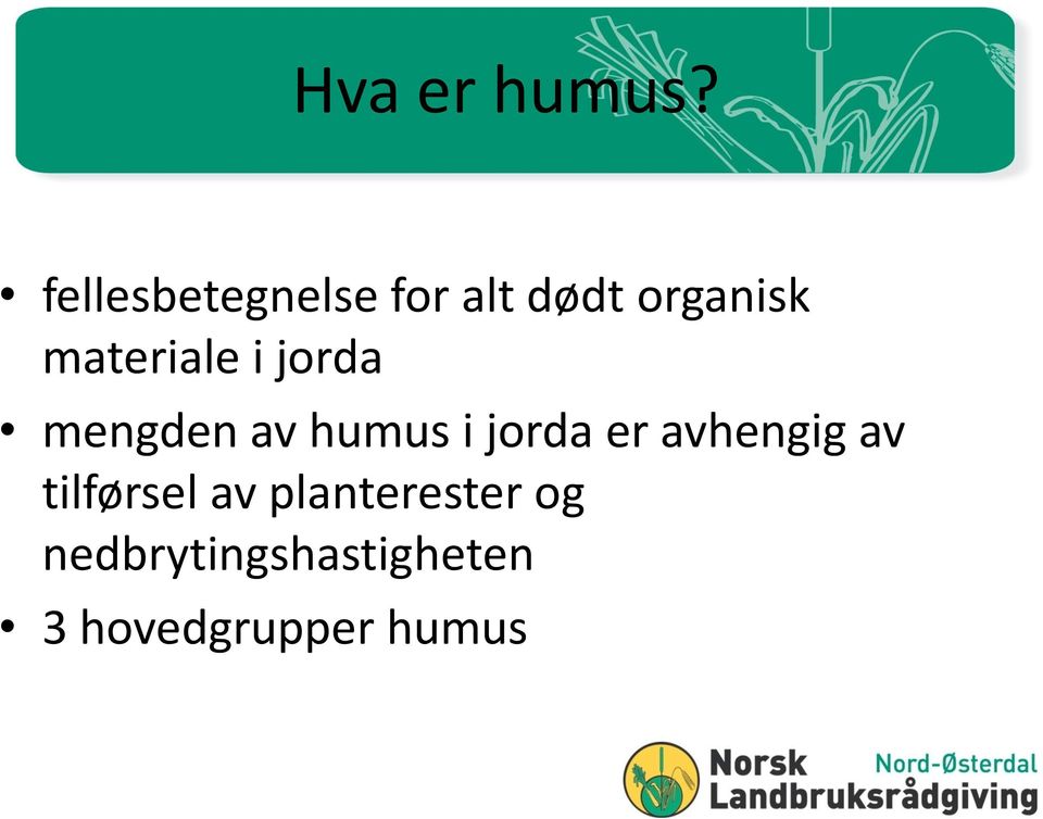 materiale i jorda mengden av humus i jorda er