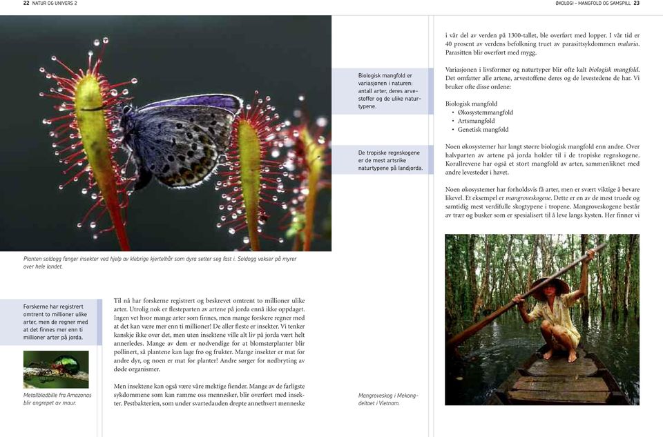 De tropiske regnskogene er de mest artsrike naturtypene på landjorda. Variasjonen i livsformer og naturtyper blir ofte kalt biologisk mangfold.