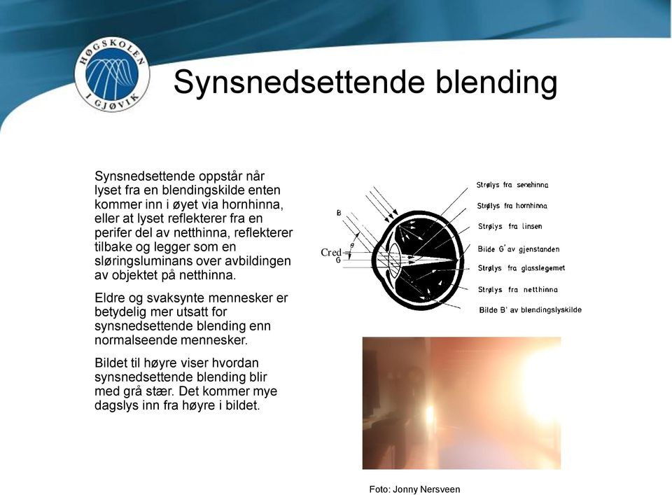 på netthinna. Eldre og svaksynte mennesker er betydelig mer utsatt for synsnedsettende blending enn normalseende mennesker.