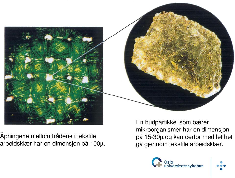 En hudpartikkel som bærer mikroorganismer har en