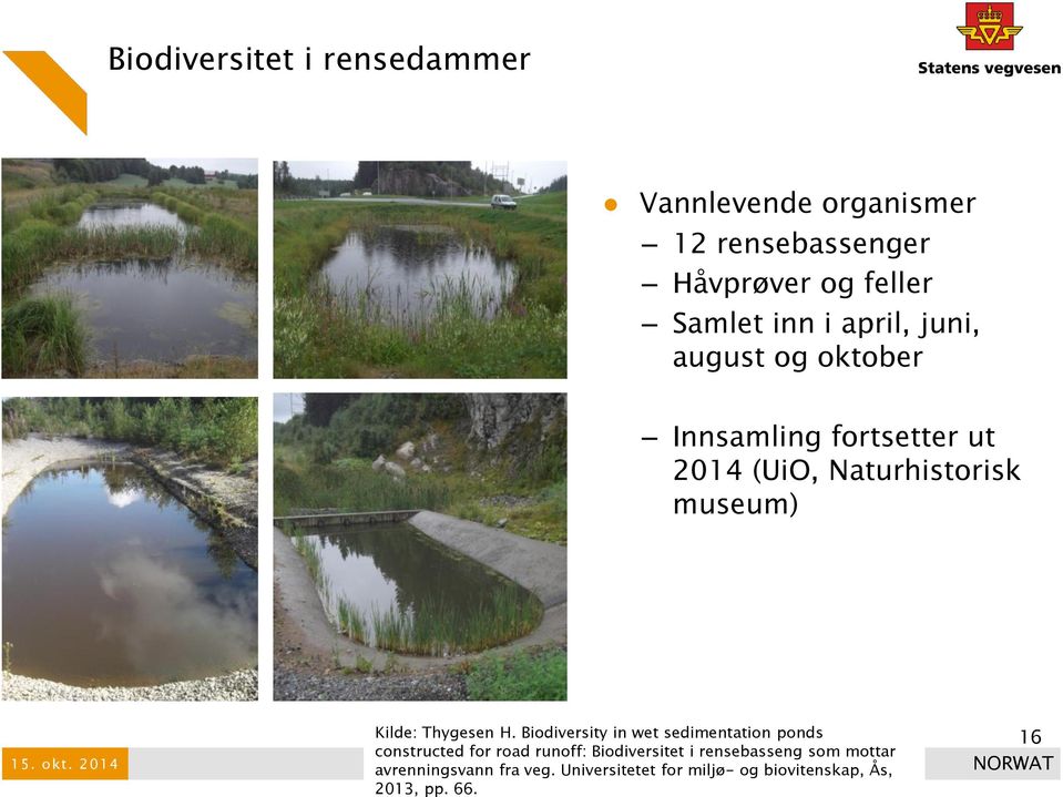Biodiversity in wet sedimentation ponds constructed for road runoff: Biodiversitet i rensebasseng som