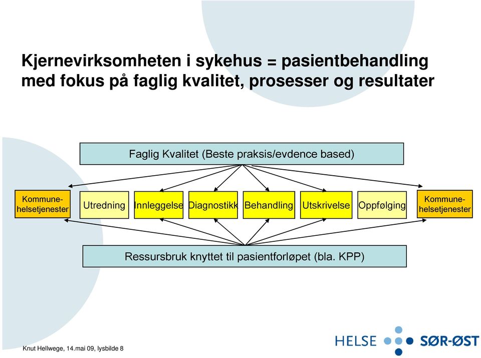 Kommunehelsetjenester Utredning Innleggelse Diagnostikk Behandling Utskrivelse