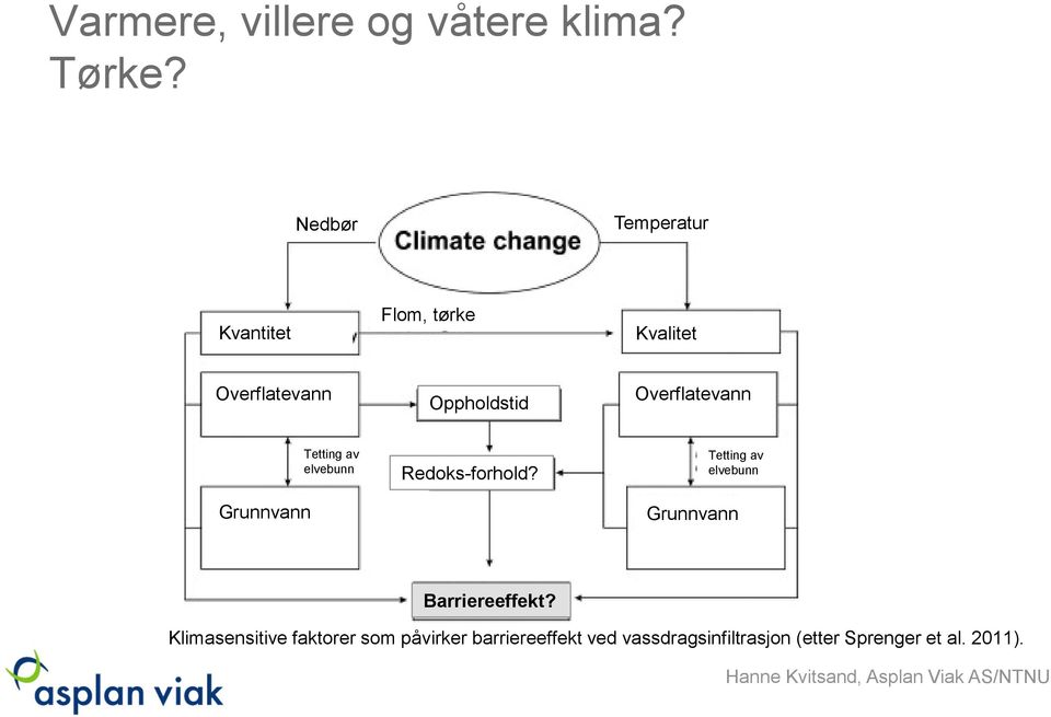 Overflatevann Grunnvann Tetting av elvebunn Redoks-forhold?