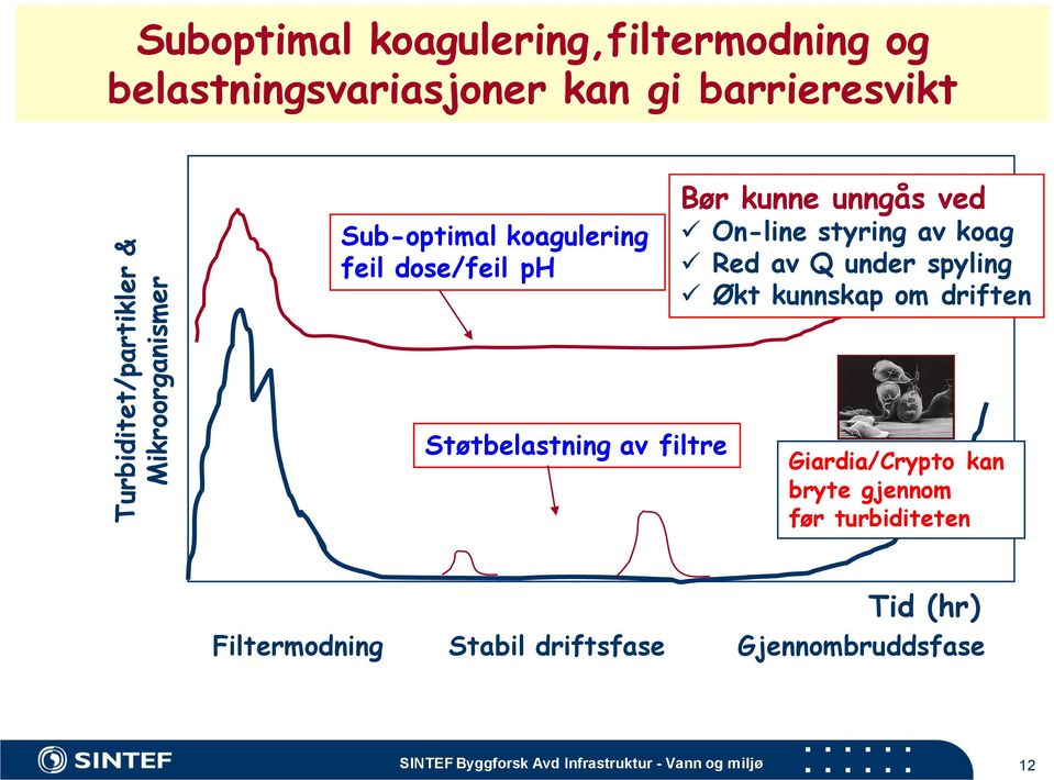 kunnskap om driften Støtbelastning av filtre Giardia/Crypto kan bryte gjennom før turbiditeten