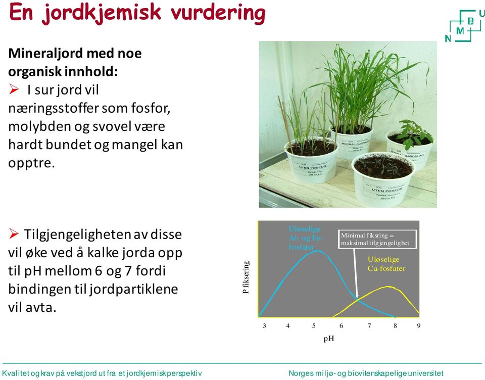 Tilgjengeligheten av disse vil øke ved å kalke jorda opp til ph mellom 6 og 7 fordi bindingen til