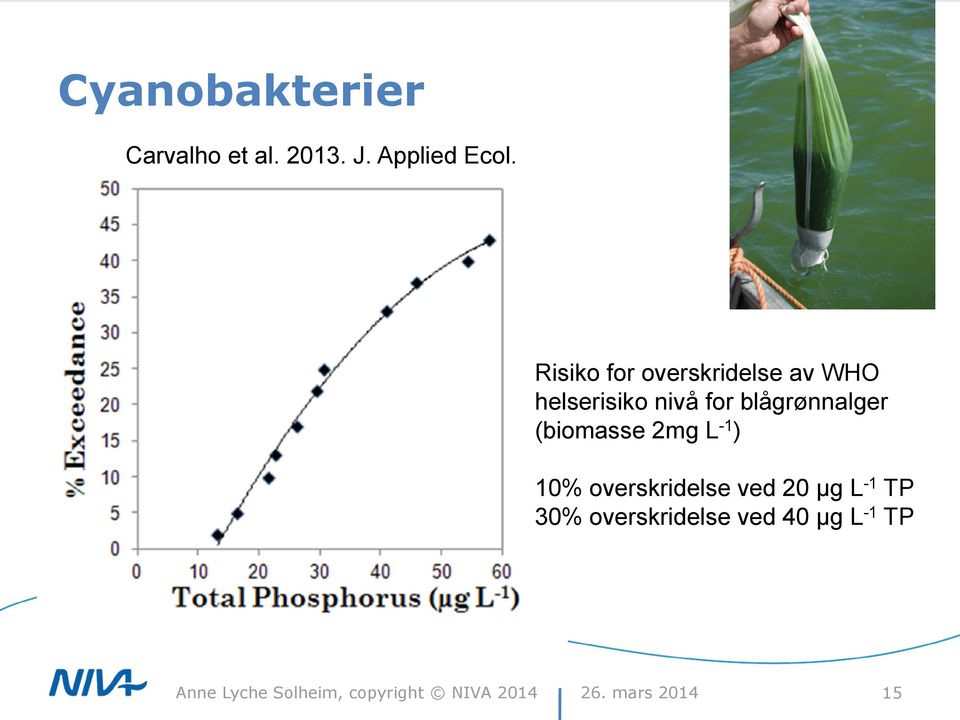 blågrønnalger (biomasse 2mg L -1 ) 10% overskridelse