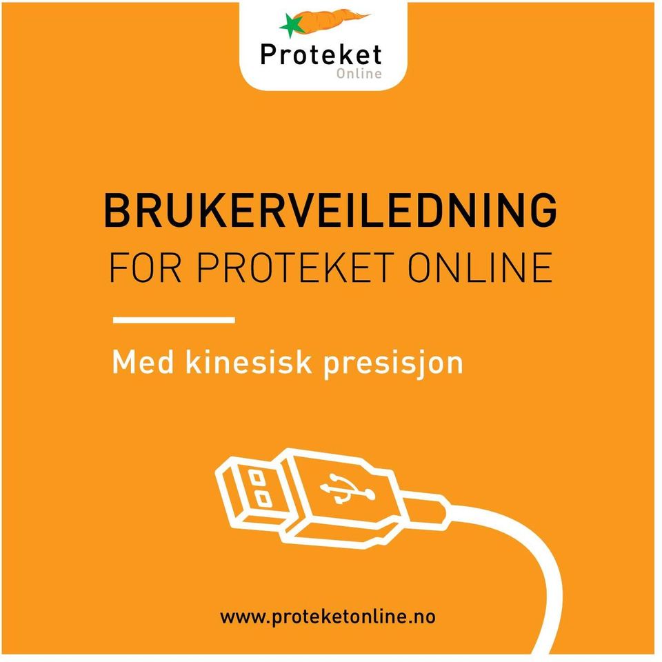 B:173 BRUKERVEILEDNING FOR PROTEKET ONLINE