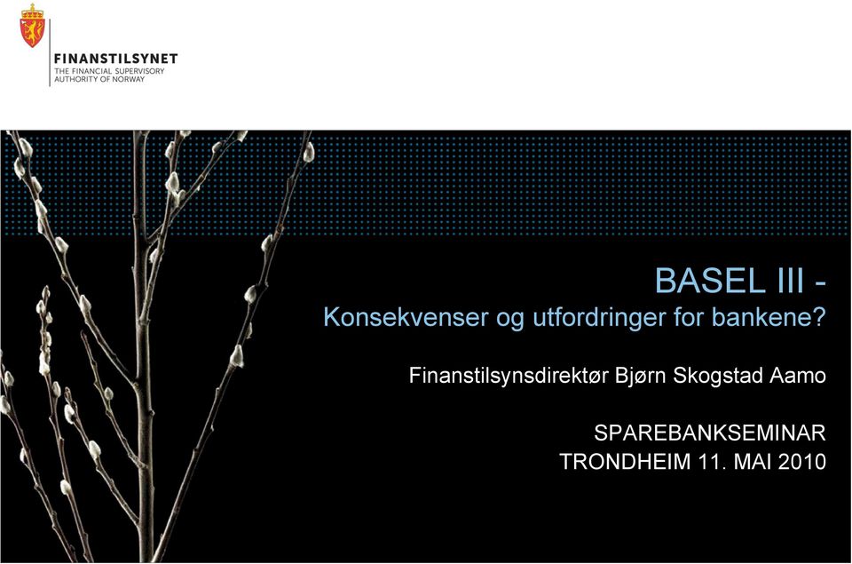 Finanstilsynsdirektør Bjørn