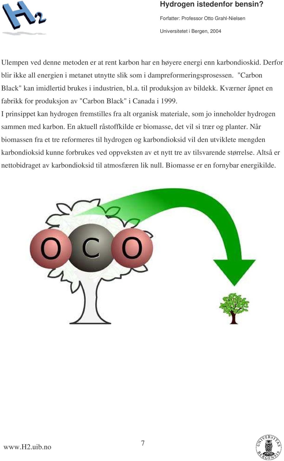 I prinsippet kan hydrogen fremstilles fra alt organisk materiale, som jo inneholder hydrogen sammen med karbon. En aktuell råstoffkilde er biomasse, det vil si trær og planter.