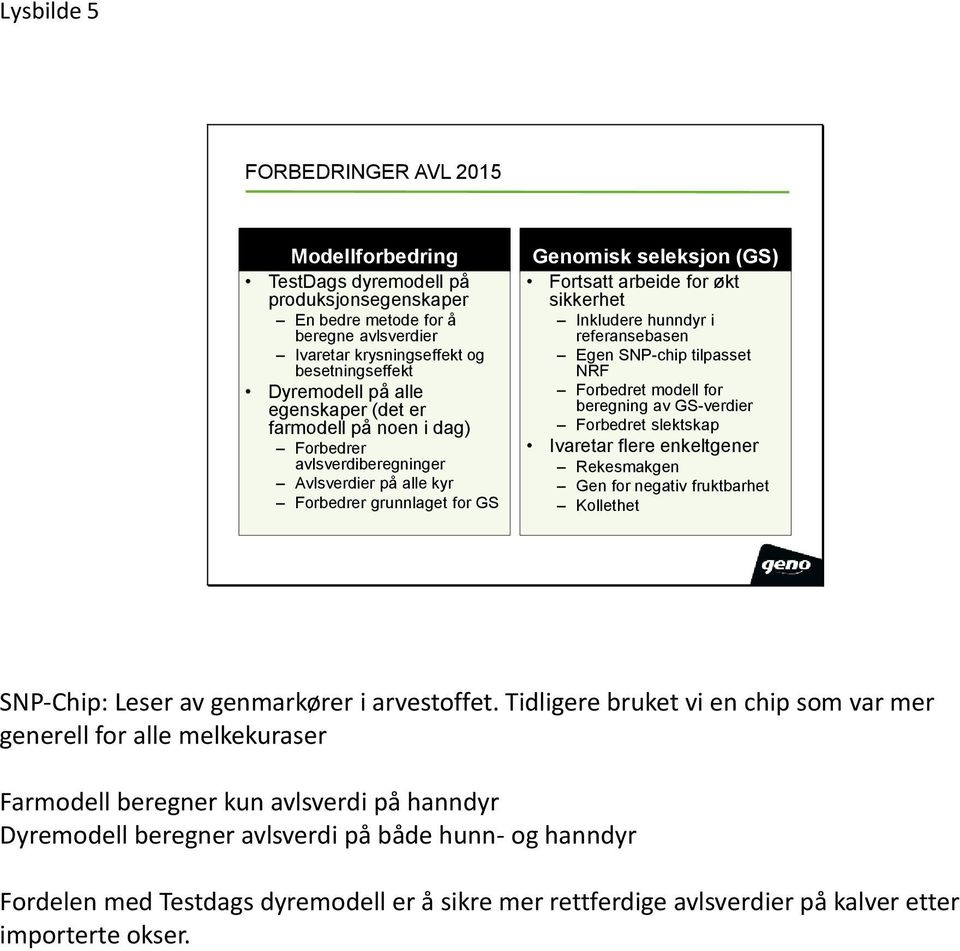 Inkludere hunndyr i referansebasen Egen SNP-chip tilpasset NRF Forbedret modell for beregning av GS-verdier Forbedret slektskap Ivaretar flere enkeltgener Rekesmakgen Gen for negativ fruktbarhet