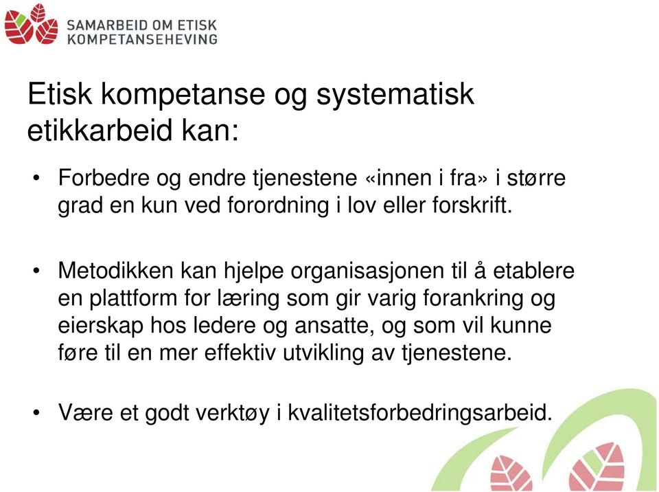 Metodikken kan hjelpe organisasjonen til å etablere en plattform for læring som gir varig forankring