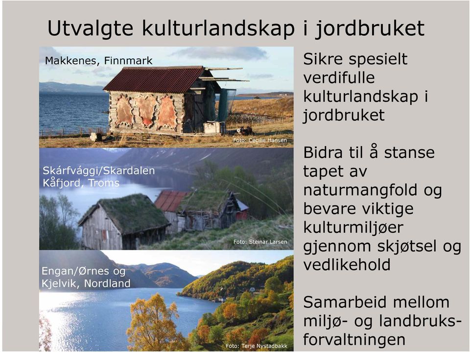 Hansen Foto: Steinar Larsen Foto: Terje Nystadbakk Bidra til å stanse tapet av naturmangfold og