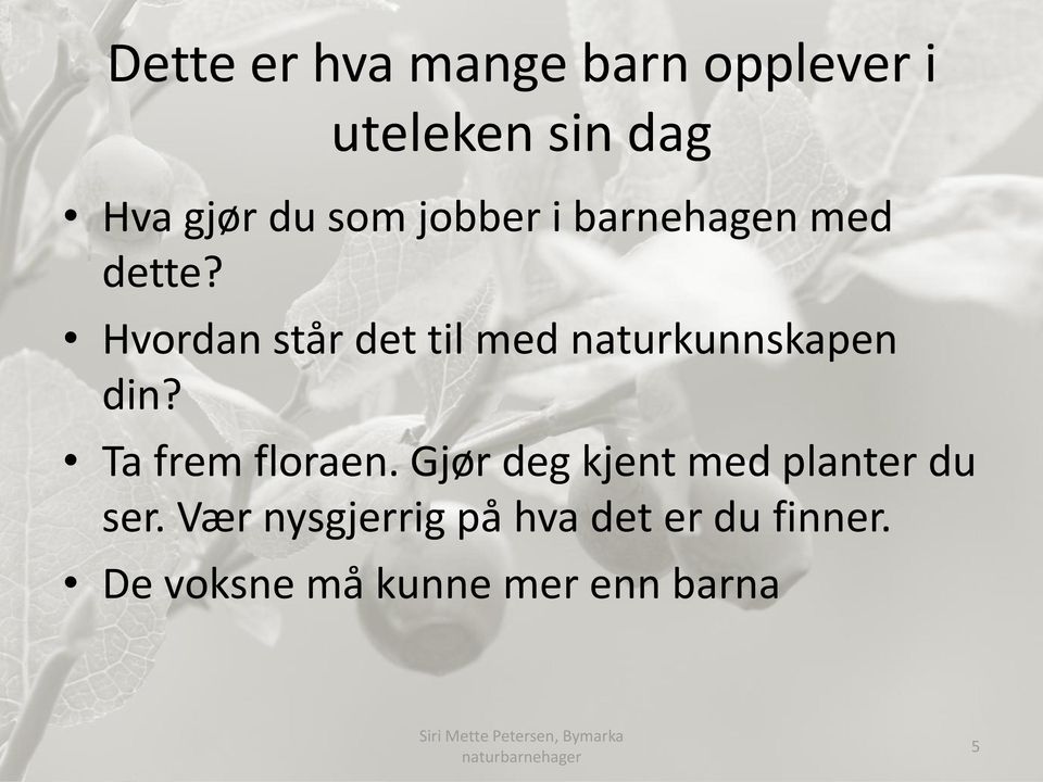 Hvordan står det til med naturkunnskapen din? Ta frem floraen.