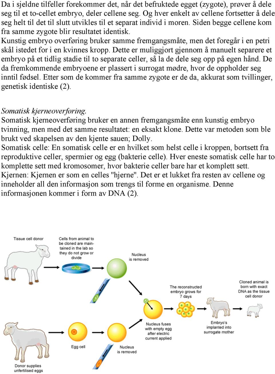 Kunstig embryo overføring bruker samme fremgangsmåte, men det foregår i en petri skål istedet for i en kvinnes kropp.