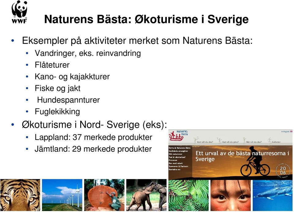 reinvandring Flåteturer Kano- og kajakkturer Fiske og jakt