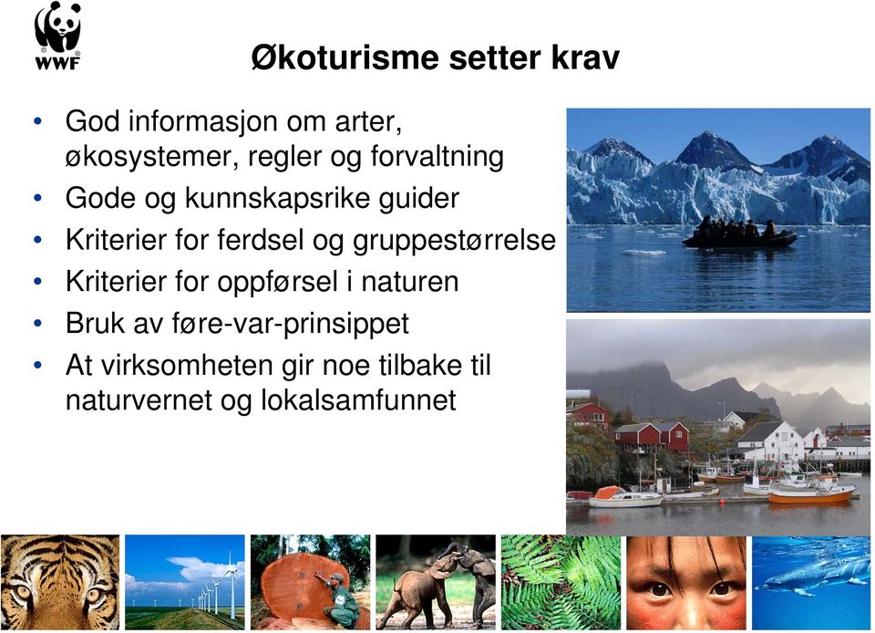 gruppestørrelse Kriterier for oppførsel i naturen Bruk av