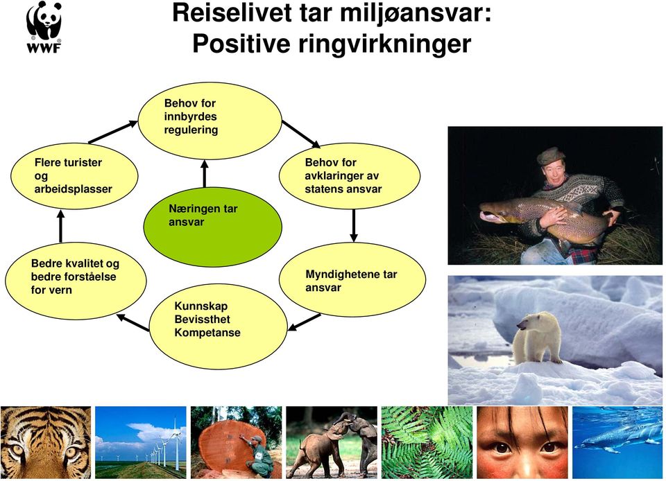 ansvar Behov for avklaringer av statens ansvar Bedre kvalitet og