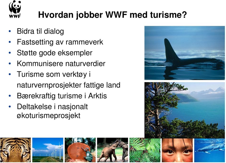 naturverdier Turisme som verktøy i naturvernprosjekter