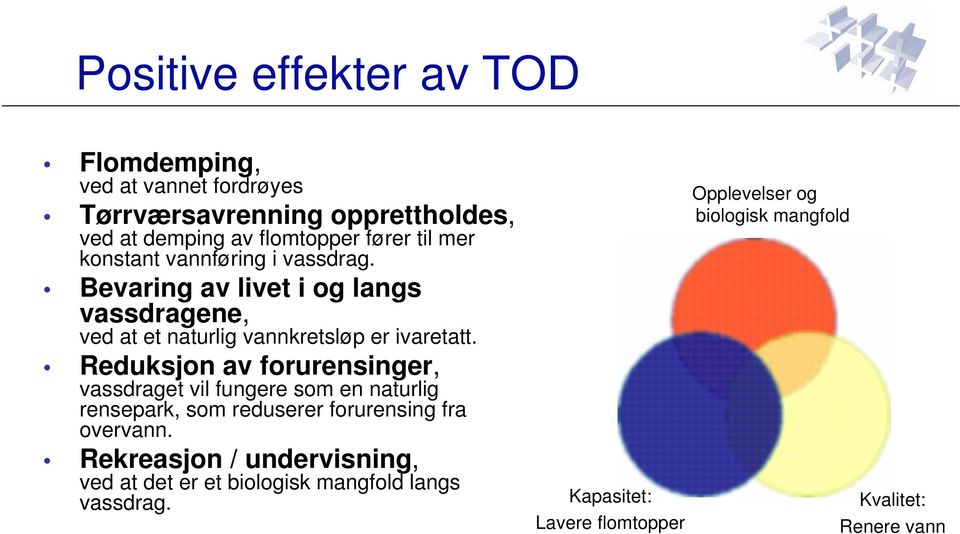 Reduksjon av forurensinger, vassdraget vil fungere som en naturlig rensepark, som reduserer forurensing fra overvann.