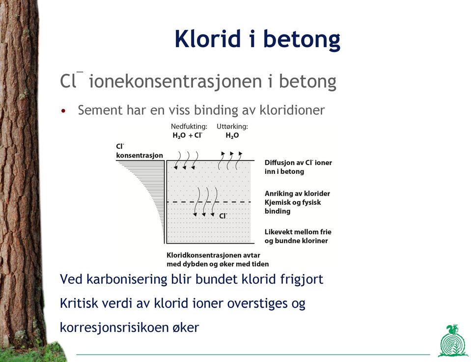 karbonisering blir bundet klorid frigjort Kritisk