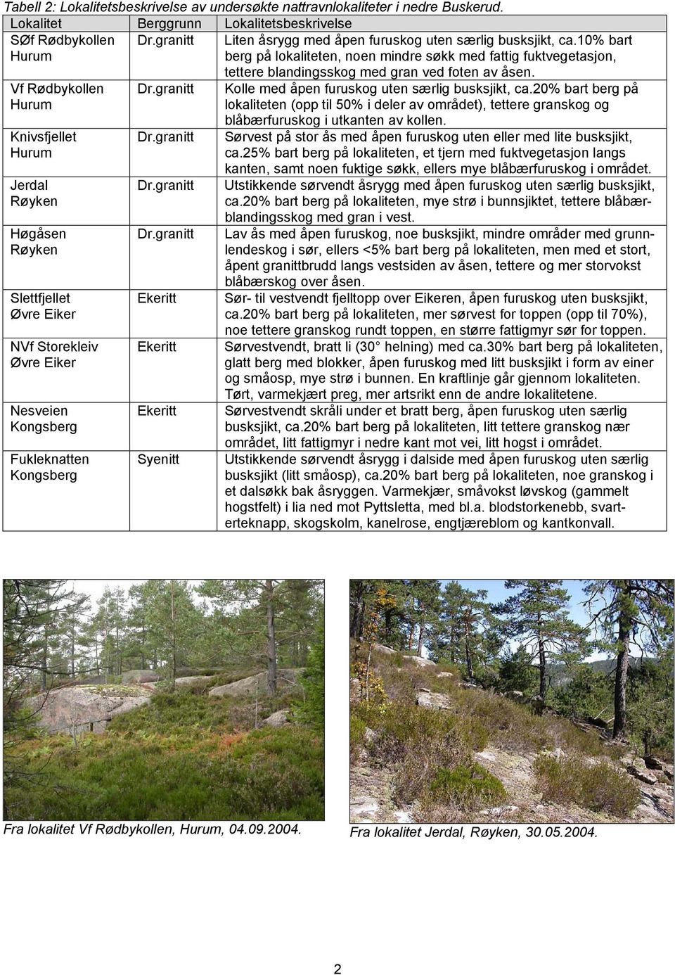 Fukleknatten Kongsberg Syenitt tettere blandingsskog med gran ved foten av åsen. Kolle med åpen furuskog uten særlig busksjikt, ca.