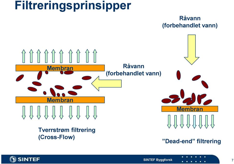 Membran Membran Tverrstrøm filtrering