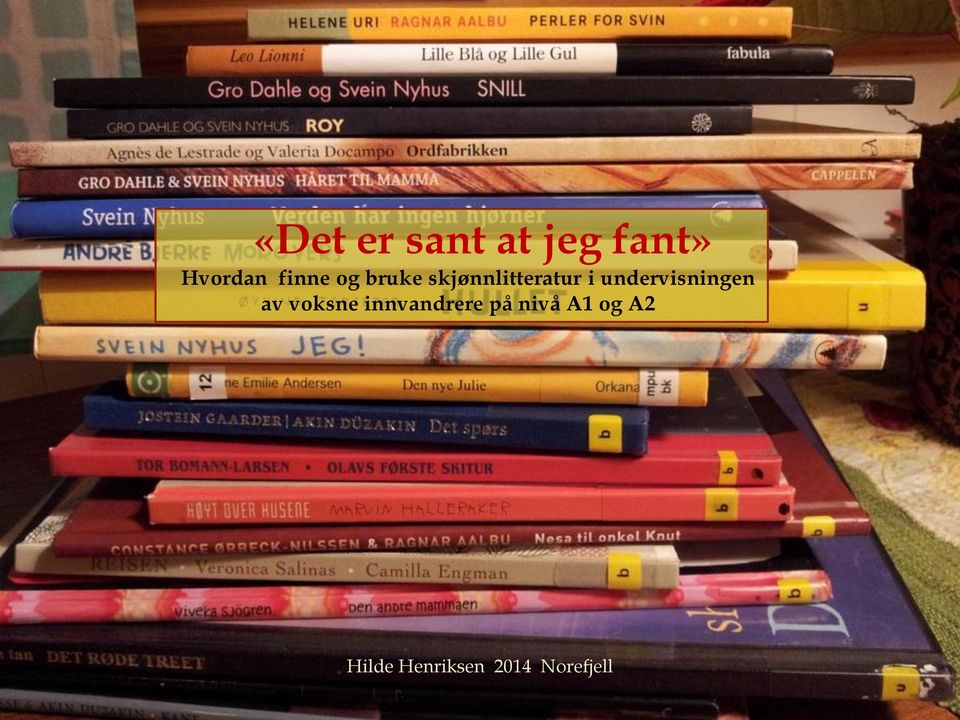 skjønnlitteratur i