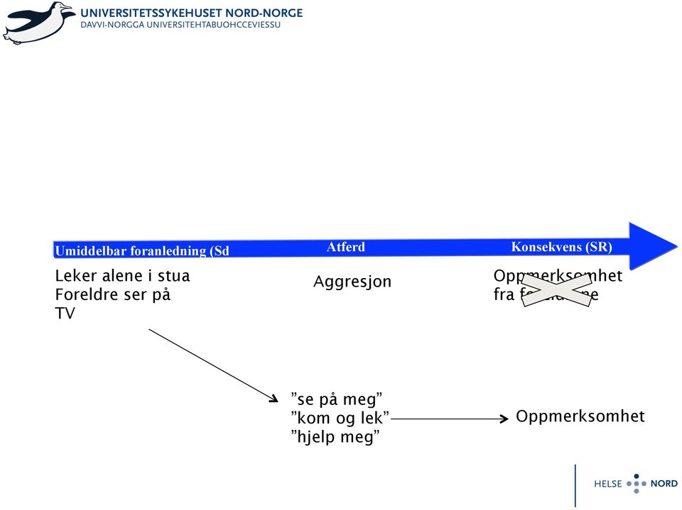 Konsekvens (SR) Oppmerksomhet fra